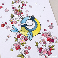 blue tit and cherry blossom